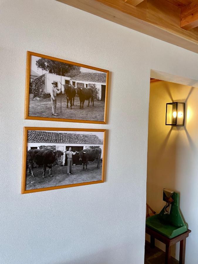 プライア・ダ・ヴィクトーリア Casa Do Avo Jose Alvesヴィラ エクステリア 写真
